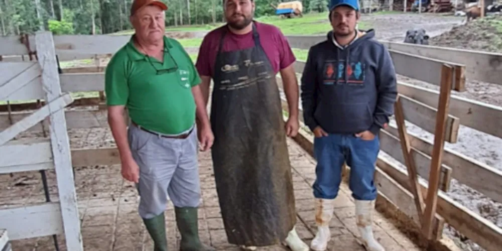 Todas as etapas do programa, desde os protocolos de inseminação até os diagnósticos, são realizadas por um veterinário da Conafer