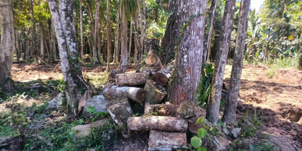 IAT aplicou R$ 40,2 milhões em multas por danos ambientais entre janeiro e março deste ano