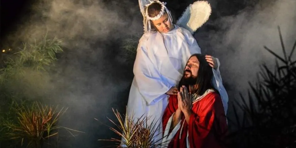 Muitas pessoas já tiveram a oportunidade de assistir de perto o espetáculo