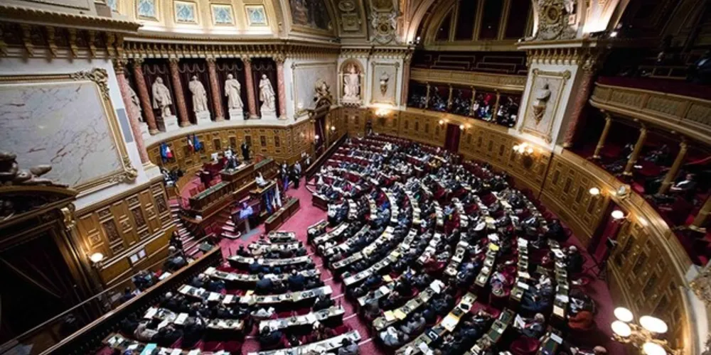 O apoio massivo da população francesa também foi um fator determinante para a constitucionalização do aborto