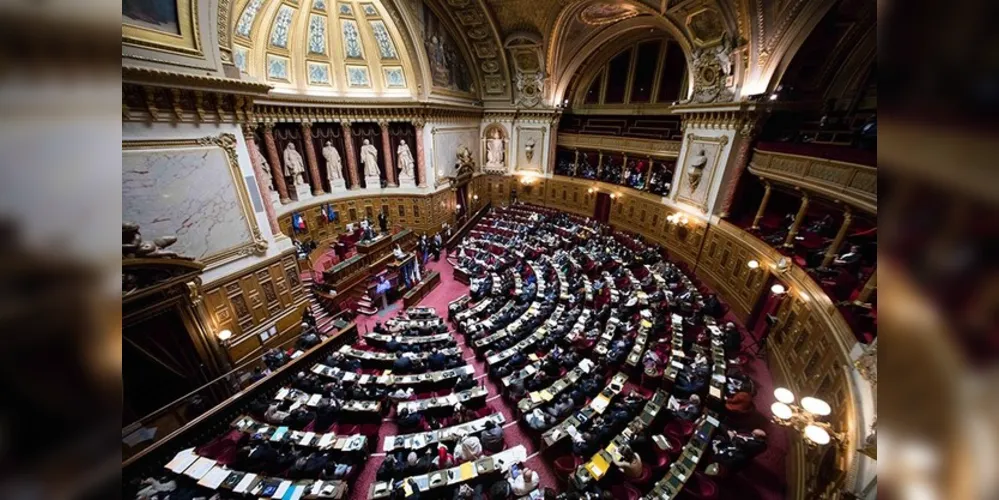 O apoio massivo da população francesa também foi um fator determinante para a constitucionalização do aborto