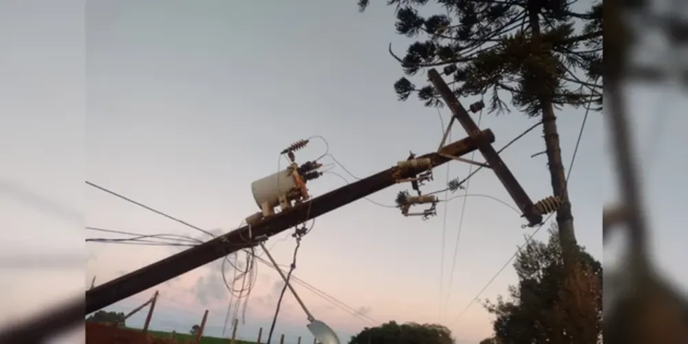 Mais de 2.600 profissionais da companhia – com reforço de equipes de todas as regiões – foram mobilizados desde o início para trabalhar no conserto da rede de energia