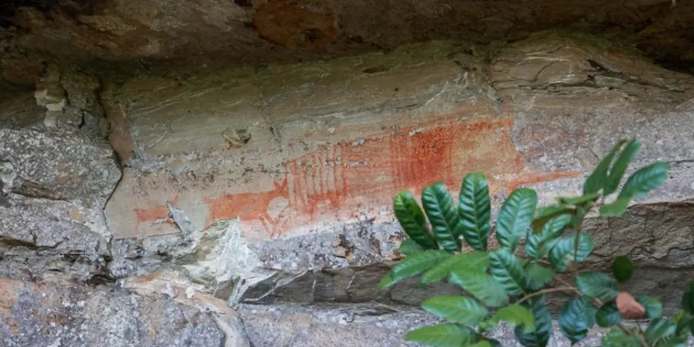 Arqueólogos franceses Annette Laming e Joseph Emperaire descreveram as pinturas, em 1956, no Journal de la Société des américaniste