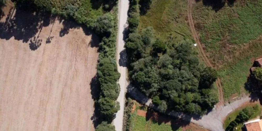 Dez empresas participaram da sessão, realizando lances de preços cada vez menores