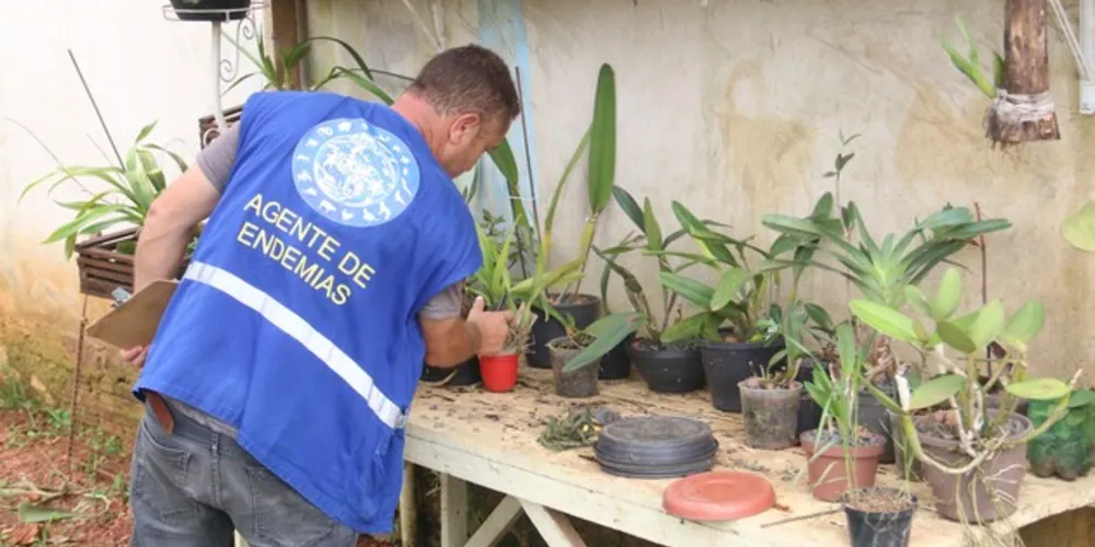 'Dia D' será neste sábado