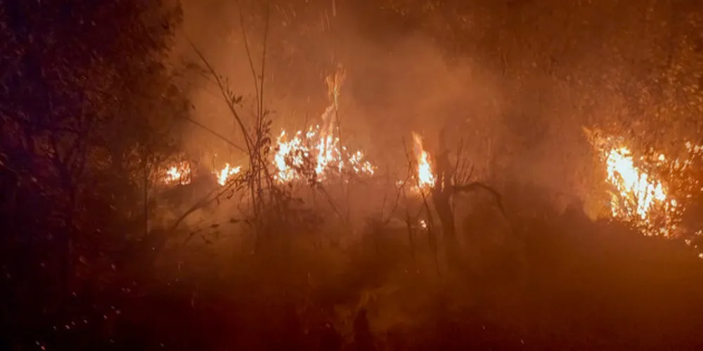 No fim do mês passado, fiscais do Instituto Água e Terra (IAT) foram acionados para controlar princípios de incêndios próximos a dois parques estaduais
