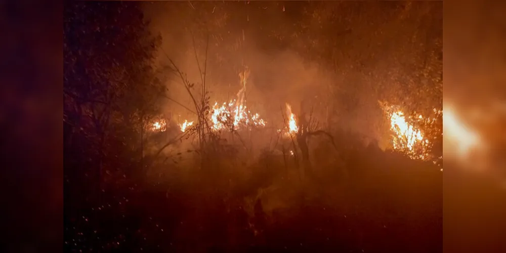 No fim do mês passado, fiscais do Instituto Água e Terra (IAT) foram acionados para controlar princípios de incêndios próximos a dois parques estaduais