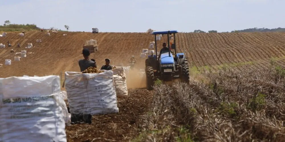 Produtores de soja, milho e bovinocultura de leite do Paraná estão entre os autorizados pelo CMN a renegociar as dívidas do crédito rural de investimento