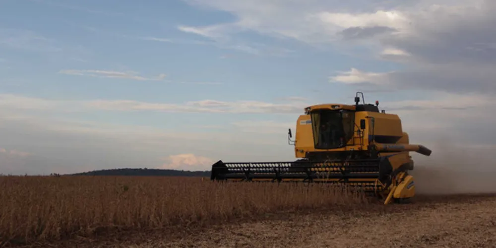 Temperaturas acima da média e chuvas mal distribuídas ocasionaram perdas significativas na produtividade da safra