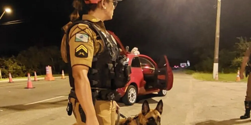 A ações seguem até as 23h59 de domingo (31)