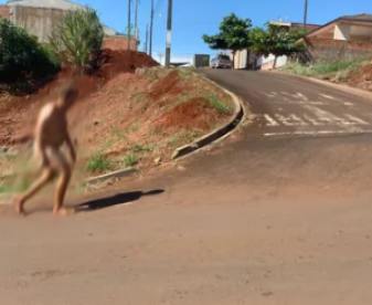 Nas imagens, é possível observar o homem caminhando tranquilamente pelas vias públicas