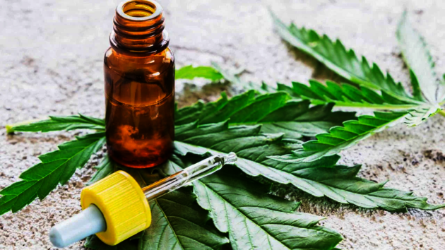 Lei Municipal estabelece programa para distribuição de medicamentos derivados da cannabis