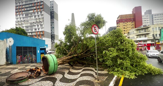 Uma árvore, no 'Ponto Azul', caiu com o temporal