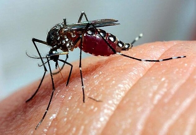 Cidade está em estado de emergência pela dengue