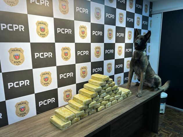 A ação contou com o apoio de cachorros do Núcleo de Operações com cães da PCPR