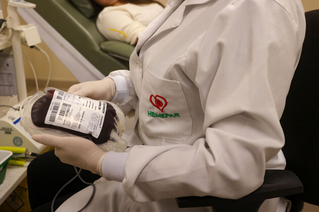 Saúde reforça orientações sobre intervalos entre confirmação de dengue e doação de sangue