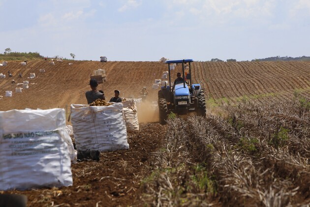 Produtores de soja, milho e bovinocultura de leite do Paraná estão entre os autorizados pelo CMN a renegociar as dívidas do crédito rural de investimento