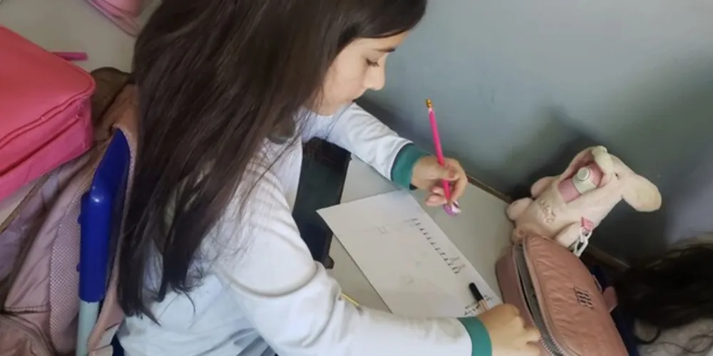 Gráficos ajudaram alunos a entenderem a dimensão da doença neste ano