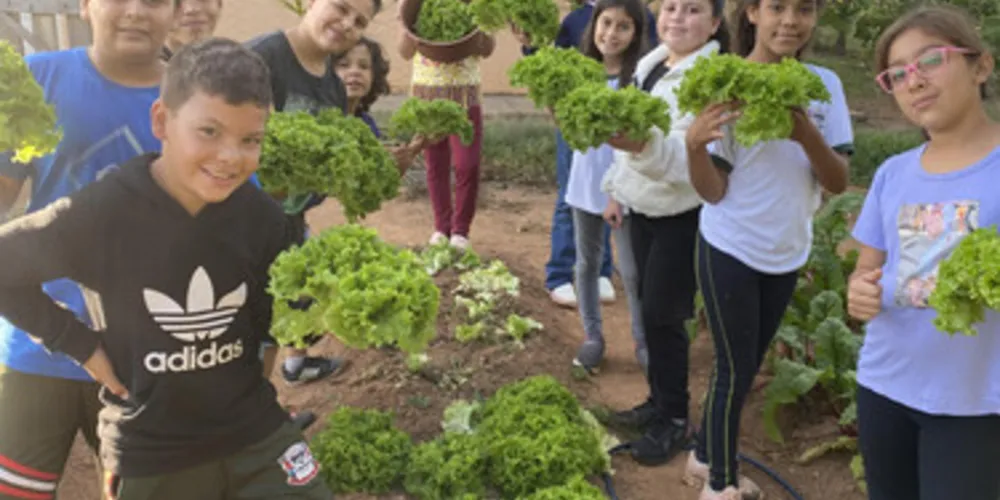 Estudantes podem contribuir com alimentação saudável dos colegas