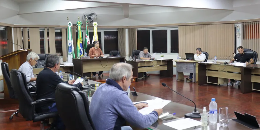 Cabe ao Executivo Municipal analisar e responder ao requerimento no prazo estabelecido