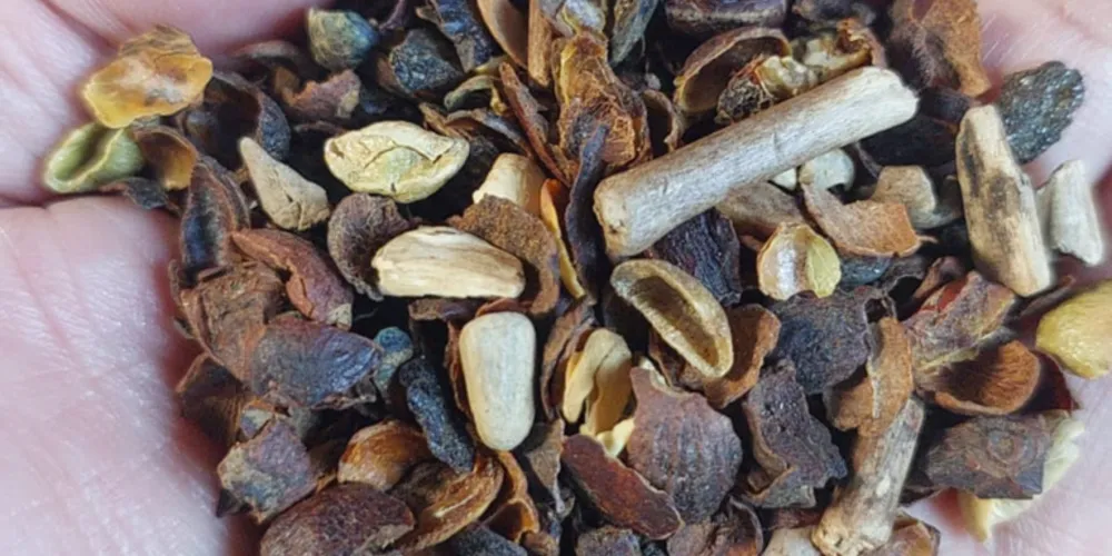 Foram constatados a presença de materiais estranhos e impurezas acima do limite legal