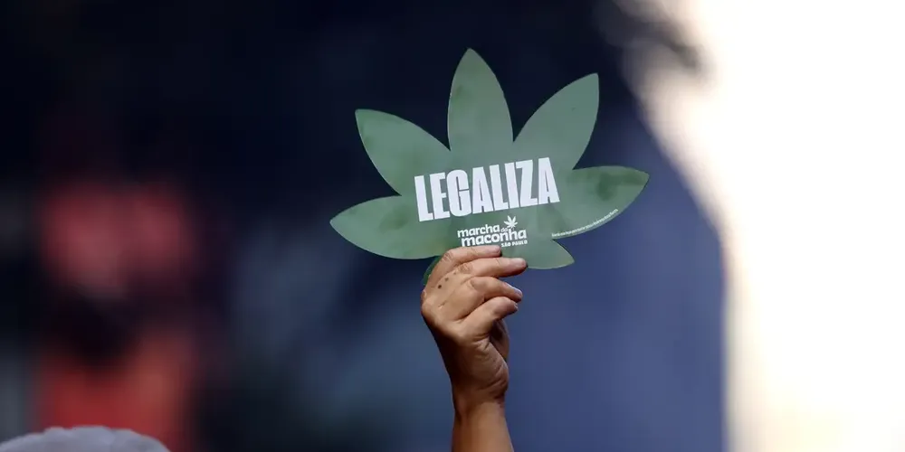 Ministros ressaltaram a importância de politicas públicas para usuário