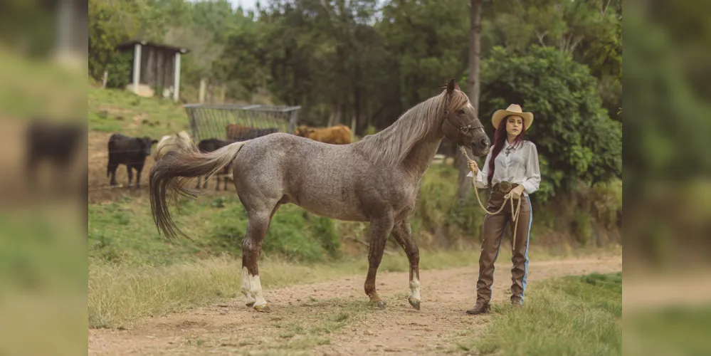 O 402Ranch, centro de criação de cavalos Quarto de Milha é um vibrante centro equestre.