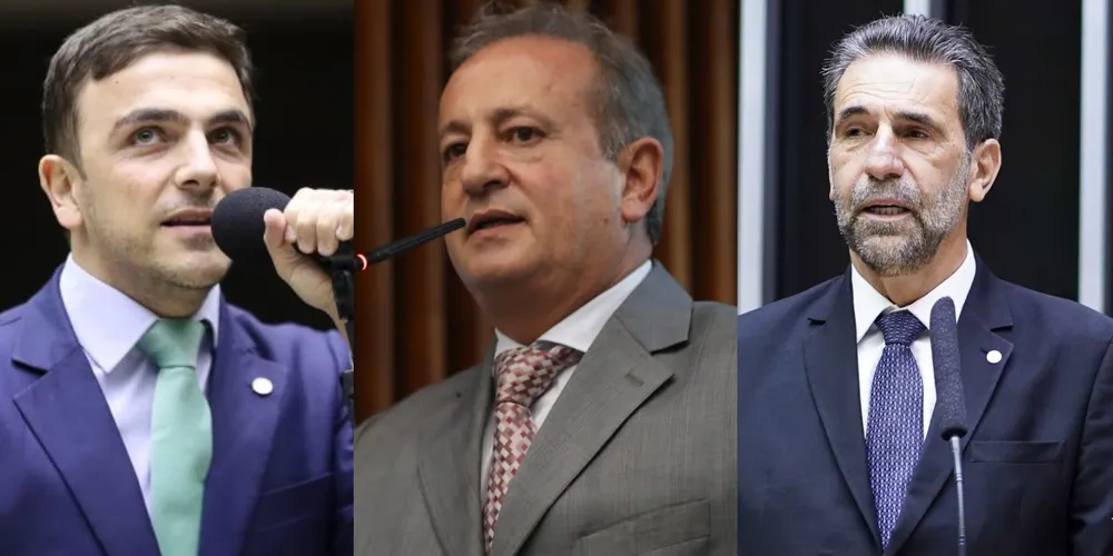 Aliel Machado, Moacyr Fadel e Ênio Verri relataram, ao Portal aRede, a sensação em receberem as honrarias