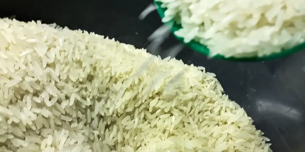 Mais de 260 mil toneladas de arroz seriam compradas pelo Governo Federal