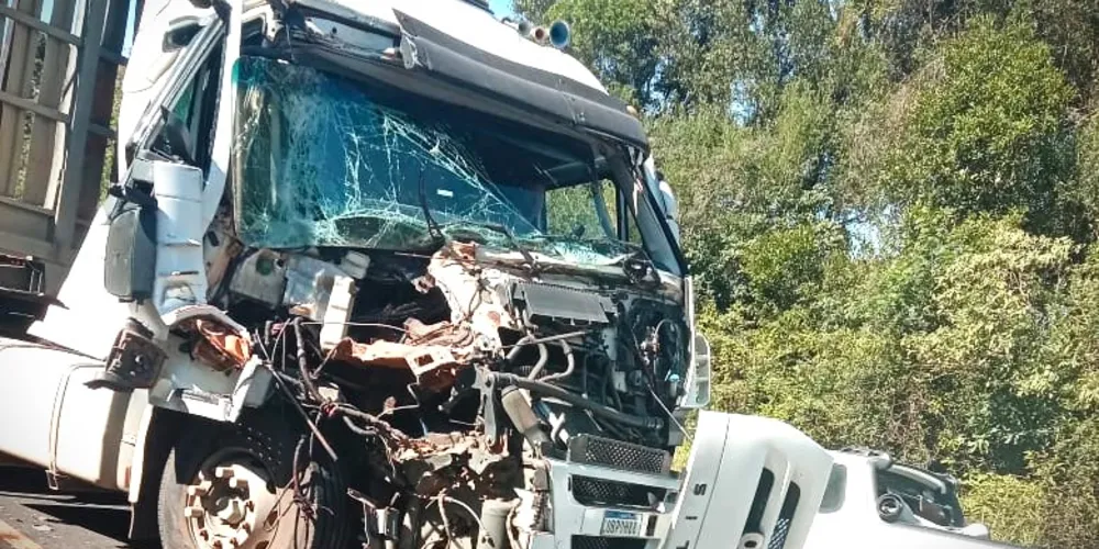 Parte da frente de um dos veículos ficou danificada