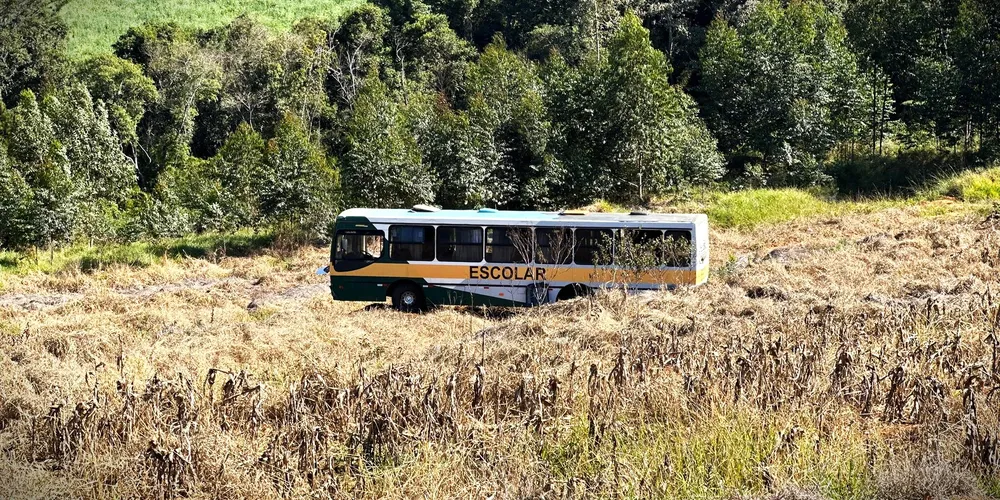 Veículo invadiu uma plantação de milho