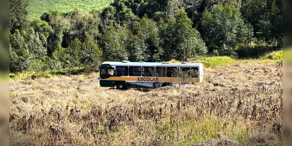 Veículo invadiu uma plantação de milho