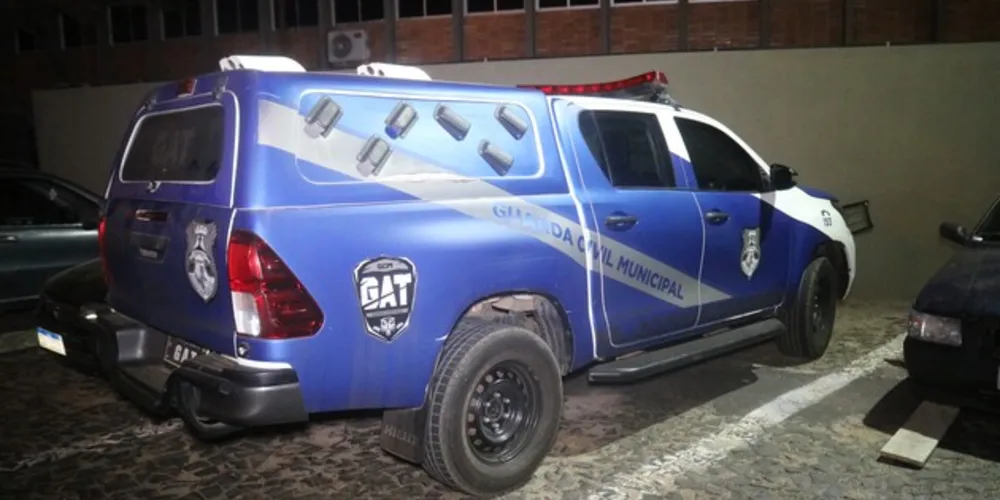 'Equipe GAT', da Guarda Municipal, foi acionada para a ocorrência