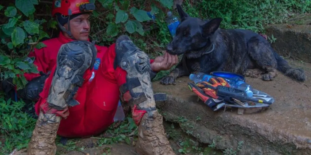 Cães receberam certificação de busca e resgate no início de maio