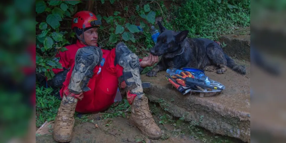 Cães receberam certificação de busca e resgate no início de maio