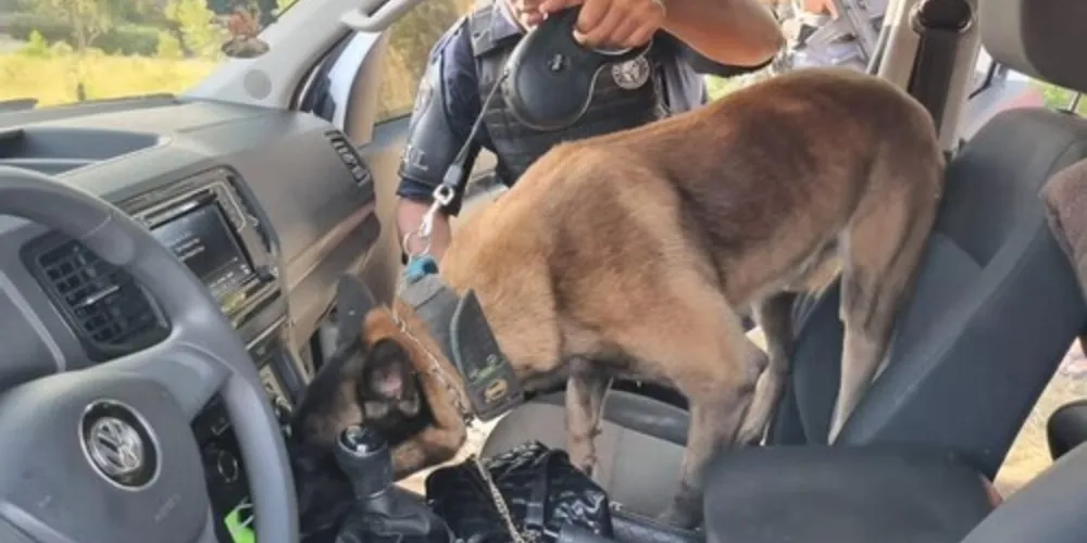 A PM se utiliza de bloqueios de trânsitos rodoviários, bloqueios táticos e abordagens, com foco na identificação e repressão de atividades ilícitas