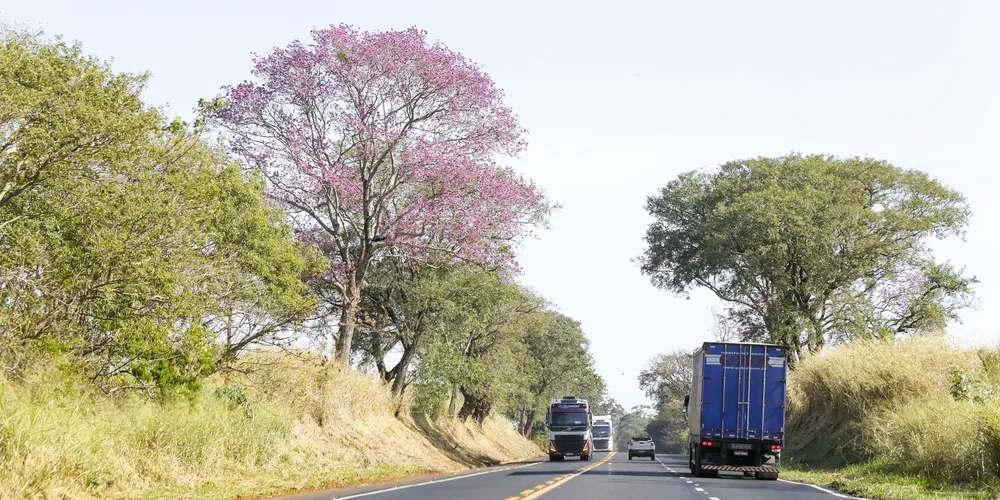 ntes de aproveitar a diversão é importante que os motoristas se preparem e tenham cuidado ao transitar pelas rodovias.