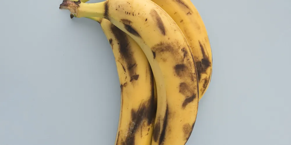 A farinha da casca de banana contém o antioxidante luteína (que ajuda a reduzir o envelhecimento celular)