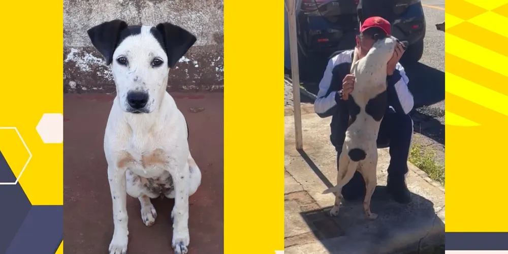 'Compota' foi encontrada na região de Oficinas