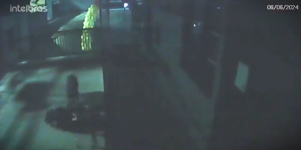 Câmera de segurança flagrou o ataque dos cachorros