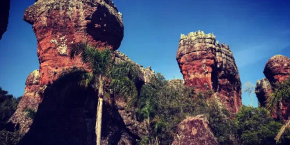 Até o dia 29 de julho, o parque se transforma em um verdadeiro playground natural
