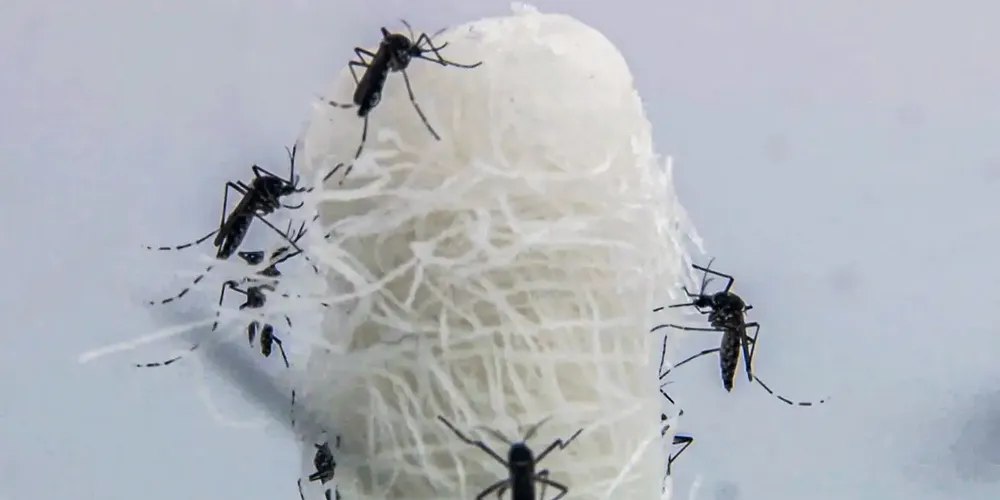 País ainda registra 2.827 mortes pela doença