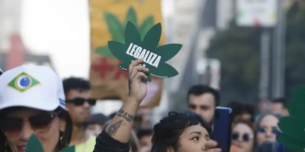 A legislação atual que rege o assunto é a Lei de Drogas, sancionada em 2006 pelo Congresso Nacional