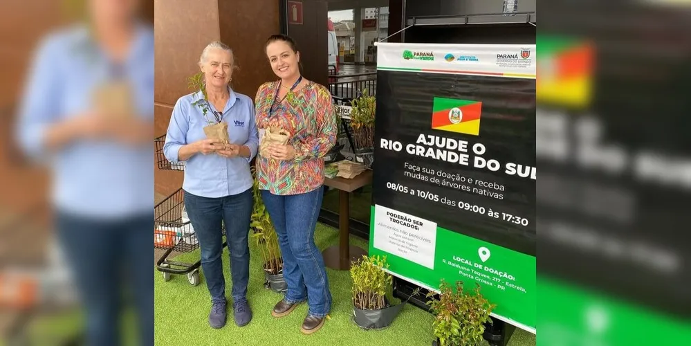 Mudas foram produzidas no viveiro florestal do órgão, em Tibagi