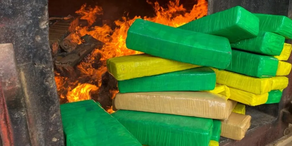 Drogas foram apreendidas em 2023 e 2024