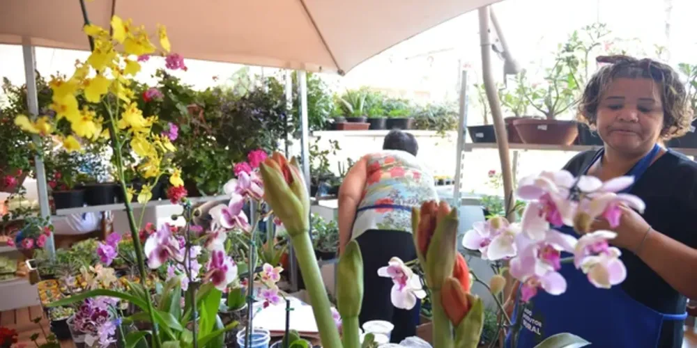 Desenrola Pequenos Negócios oferece incentivos