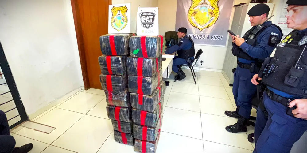 Fardos de maconha foram encaminhados à 13ª S.D.P.