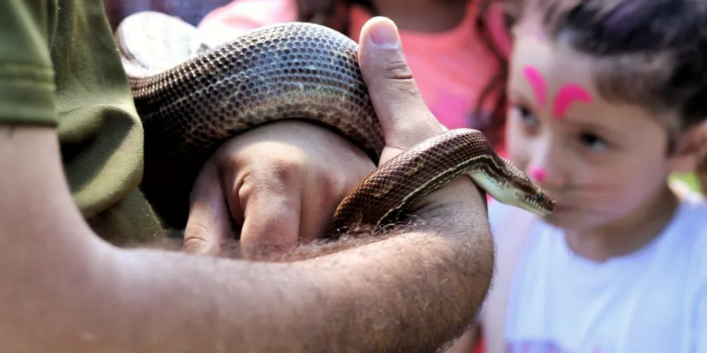 Atividade é gratuita e atende escolas e instituições de Ponta Grossa