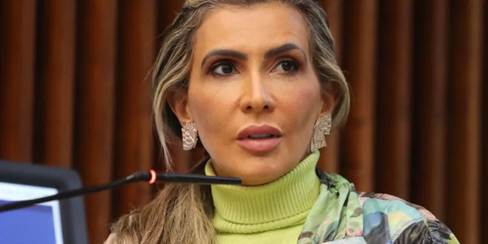 Flávia Francischini destaca que informação é uma ferramenta poderosa para construir uma sociedade mais inclusiva