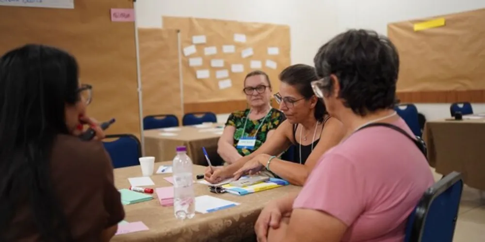 O Sebrae foi chamado como parceiro para organizar o novo plano